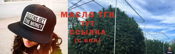 трава Няндома