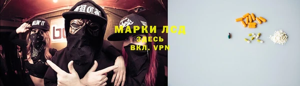 трава Няндома