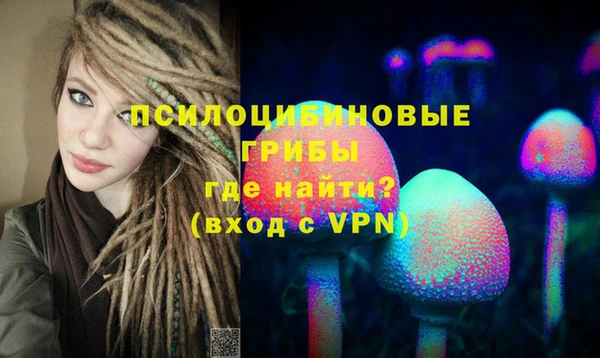 трава Няндома