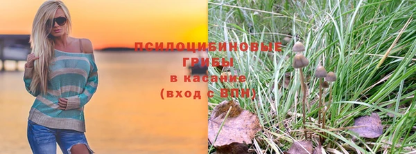 прущие крисы Нязепетровск