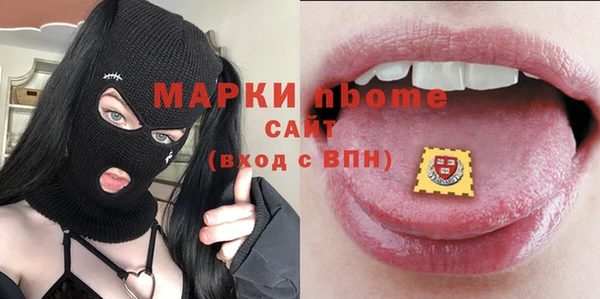трава Няндома