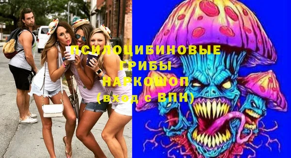 соль курить ск Новозыбков